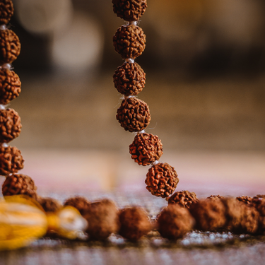 What is Rudraksha? Rudraksha & Lord Shiva