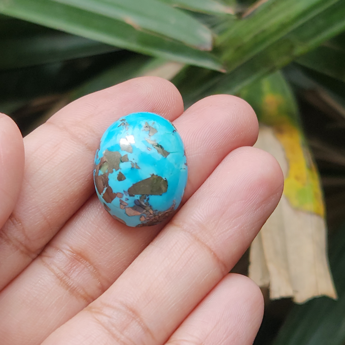 Irani Firoza Turquoise Stone-16.10 Carat