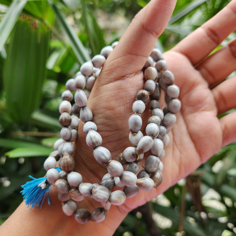 Natural Vaijanti Mala - Handcrafted Braj Forest Seed Prayer Beads