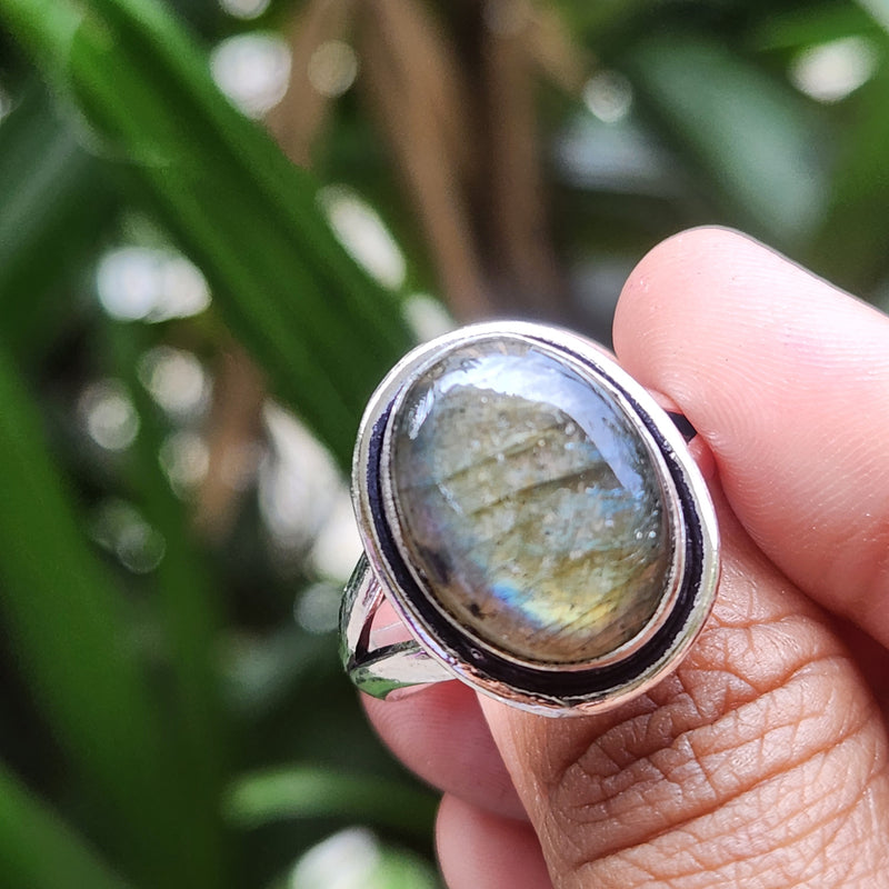 Certified Labradorite Adjustable Rings- Oval Shape