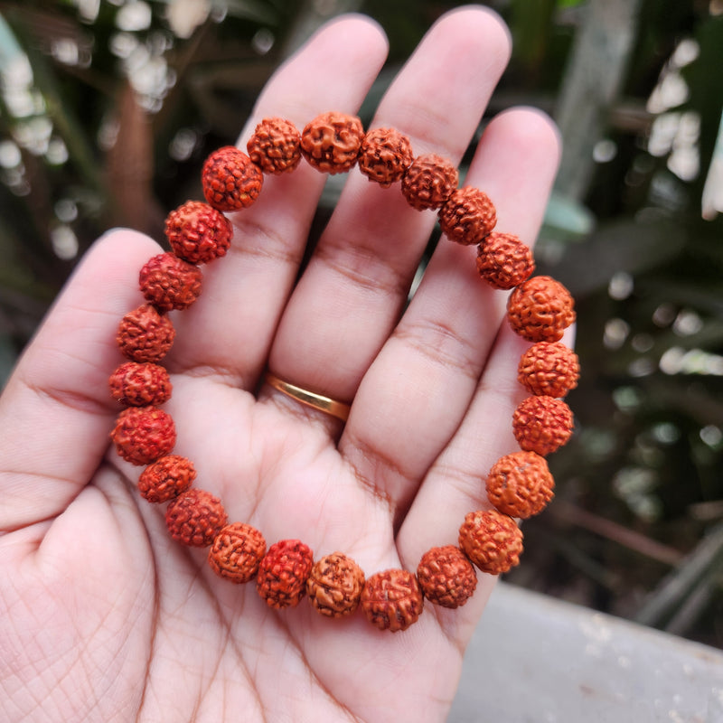 5 mukhi rudraksha bracelet