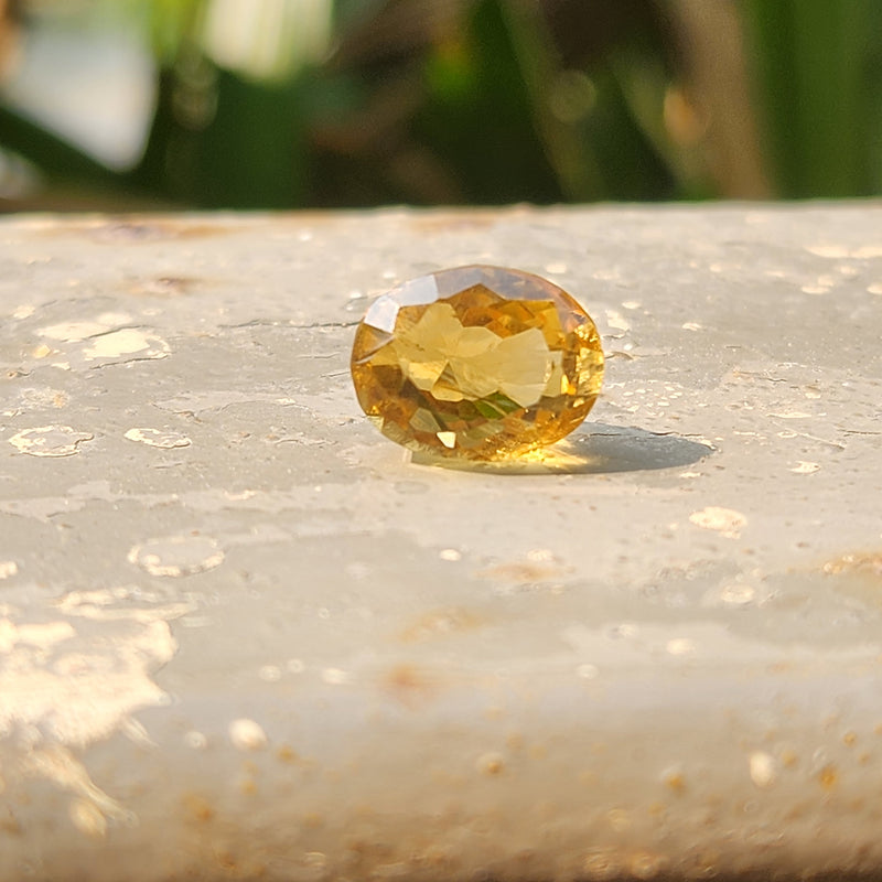 Citrine (Sunela) Gemstone- 5.51 Carat