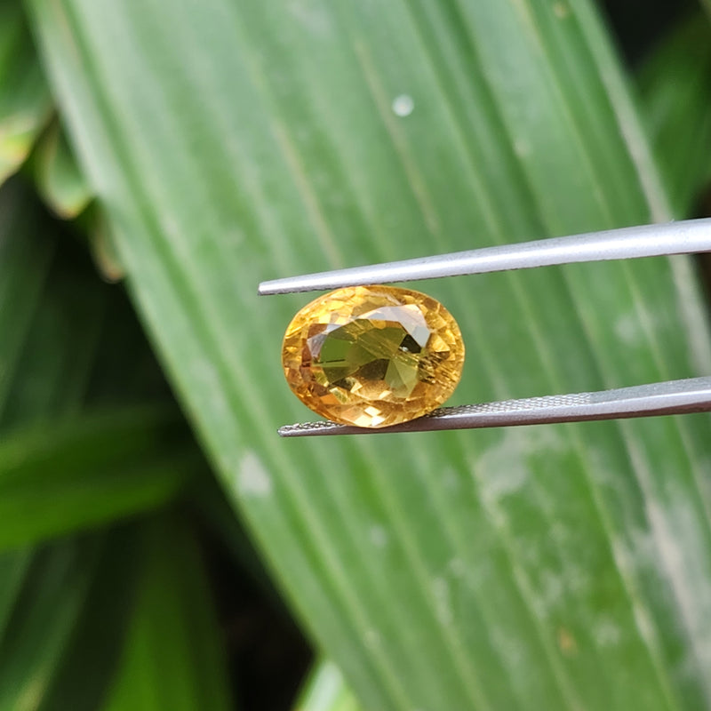 Citrine (Sunela) Gemstone- 5.51 Carat