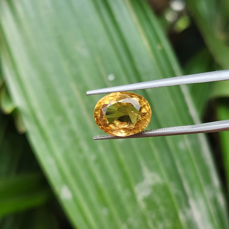 Citrine (Sunela) Gemstone- 5.51 Carat