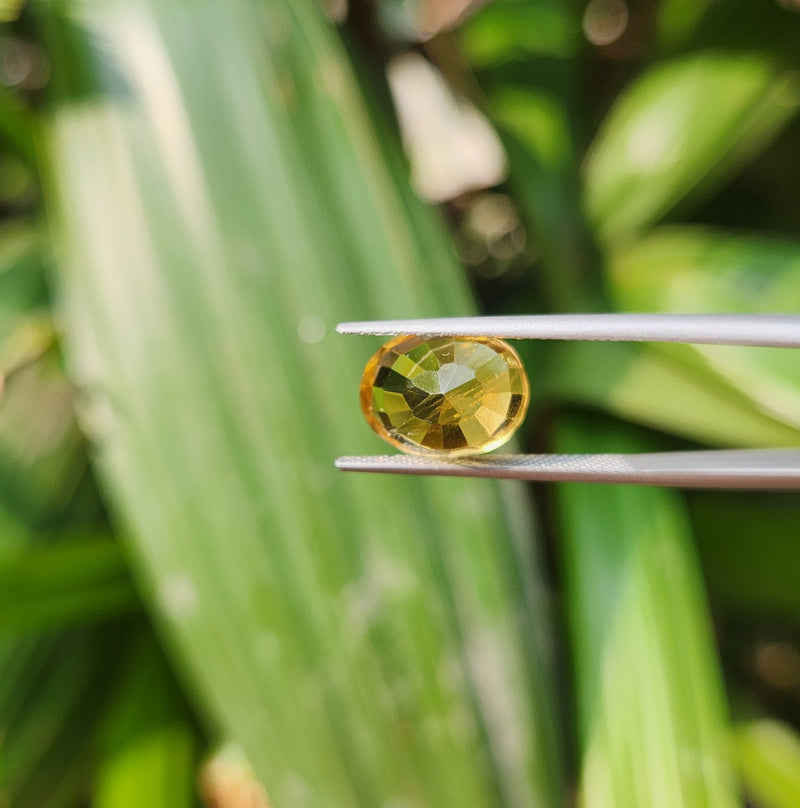 Citrine (Sunela) Gemstone- 5.51 Carat