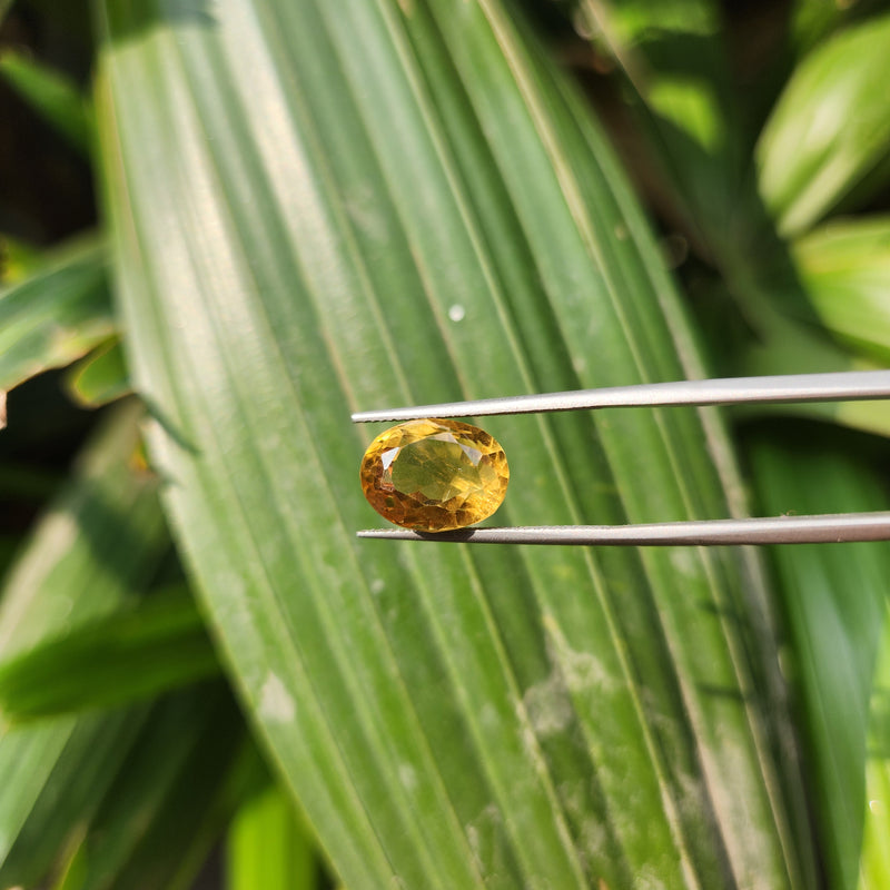 Citrine (Sunela) Gemstone- 5.51 Carat