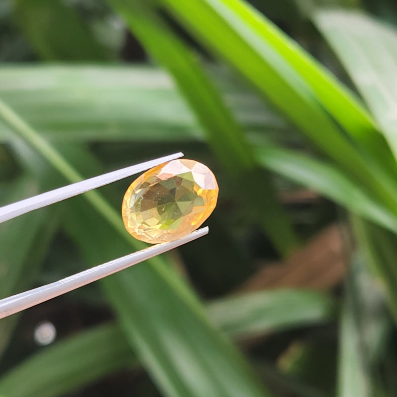 Citrine (Sunela) Gemstone- 6.08 Carat
