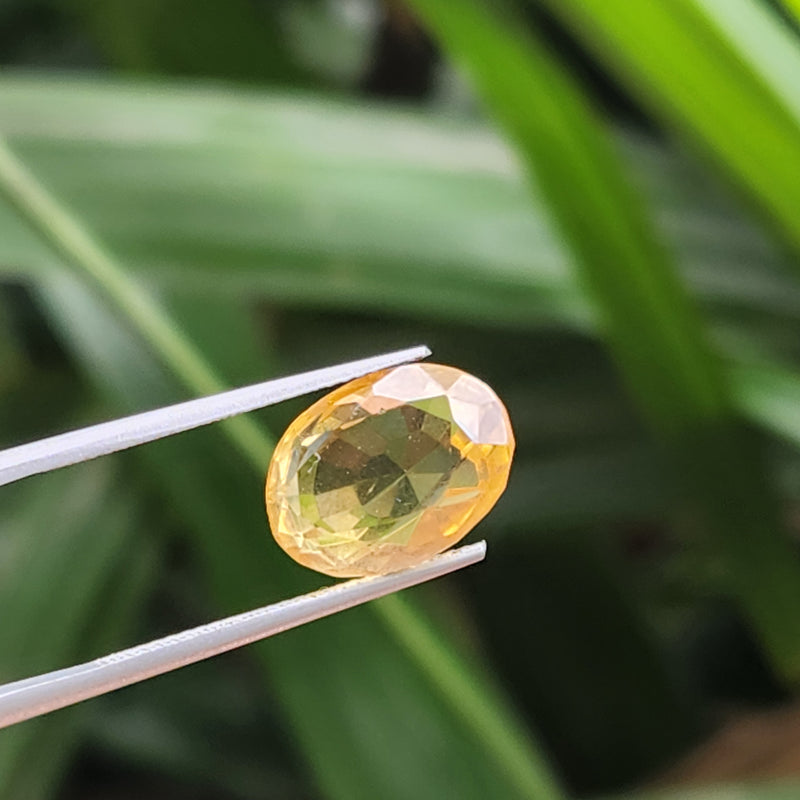 Citrine (Sunela) Gemstone- 6.08 Carat
