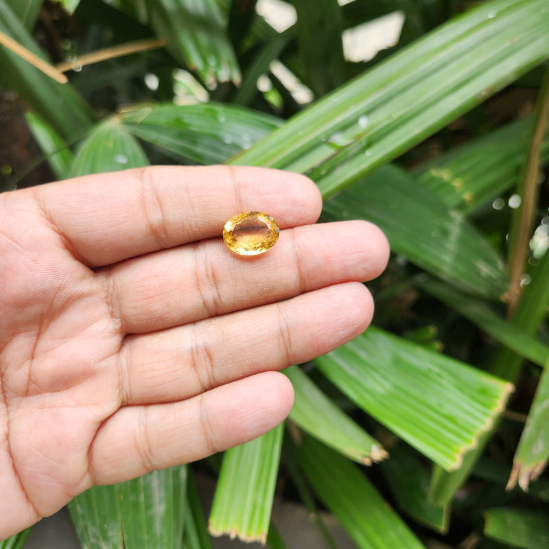 Citrine (Sunela) Gemstone- 5.86 Carat