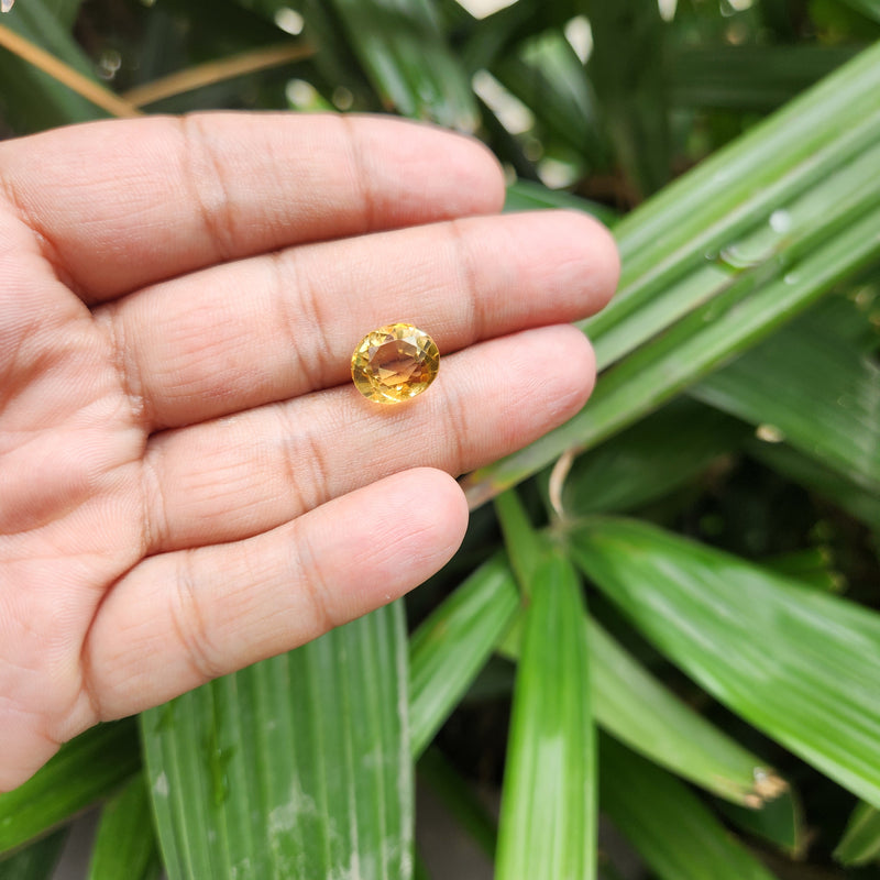 Citrine (Sunela) Gemstone- 6.33 Carat