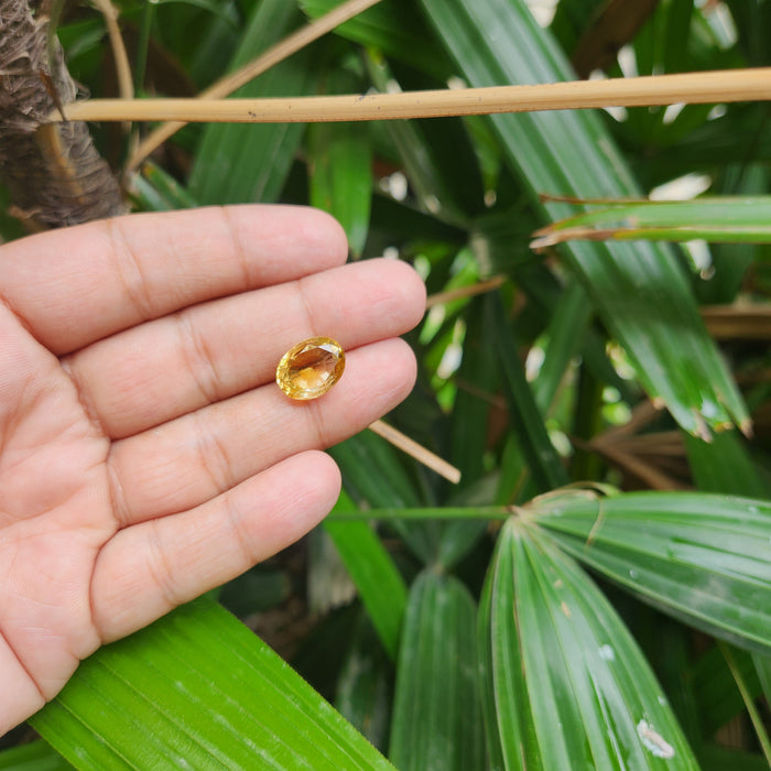 Citrine (Sunela) Gemstone- 8.78 Carat