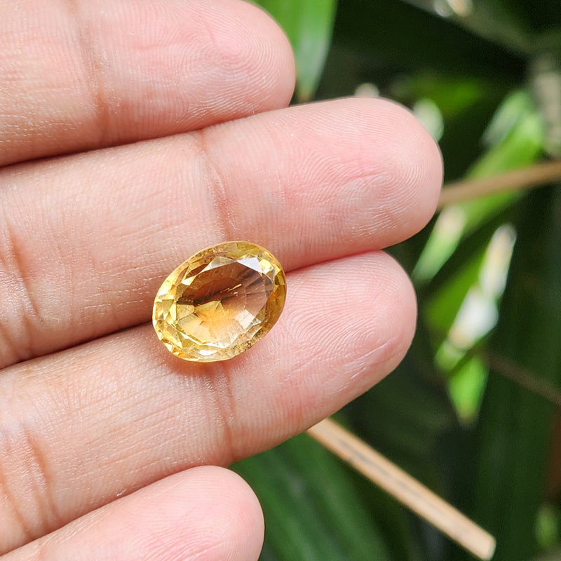 Citrine (Sunela) Gemstone- 8.78 Carat
