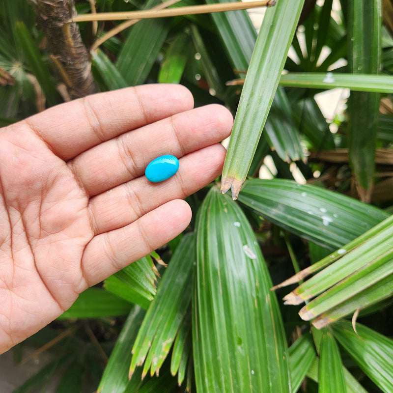 Turquoise (Firoza) Gemstone from USA - 7.72 carat