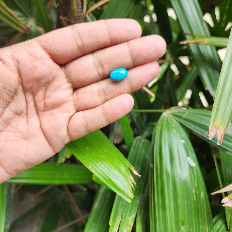 Turquoise (Firoza) Gemstone from USA - 5.07 carat