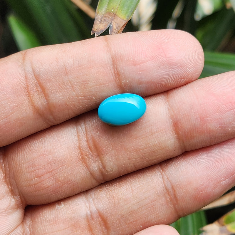 Turquoise (Firoza) Gemstone from USA - 5.07 carat