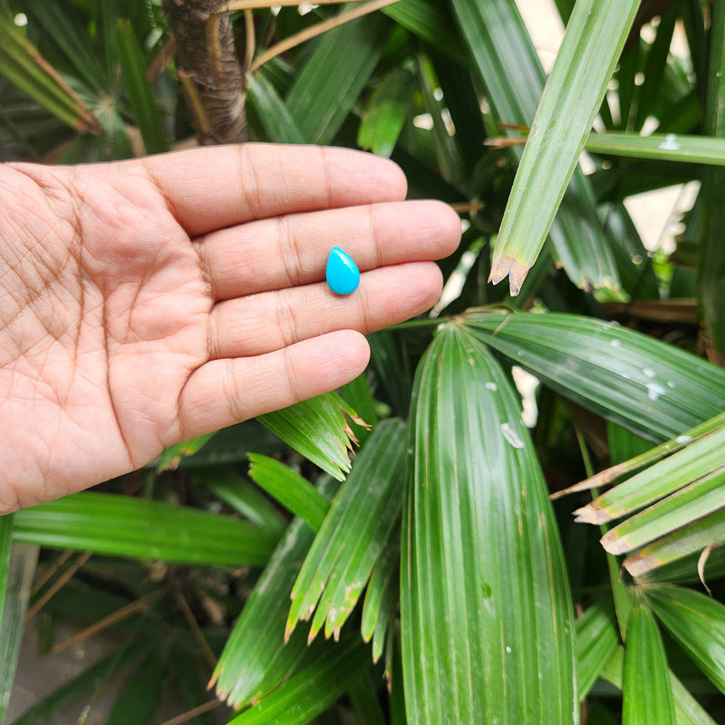 Turquoise (Firoza) Gemstone from USA - 3.06 carat