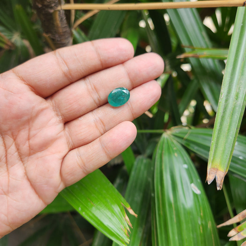 Emerald (Panna) Zambian Gemstone- 6.59 Carat