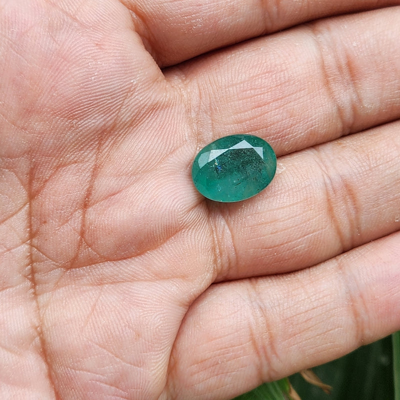 Emerald (Panna) Zambian Gemstone- 6.59 Carat