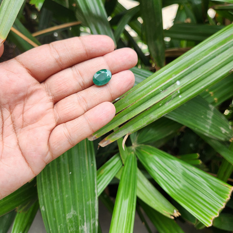Emerald (Panna) Zambian Gemstone- 7.73 Carat