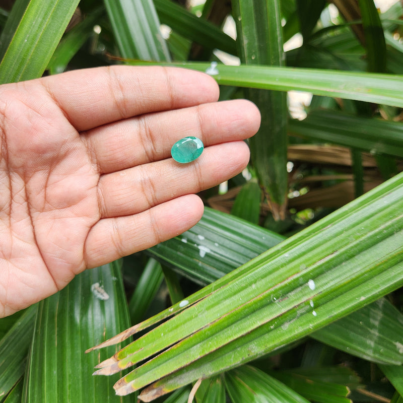 Emerald (Panna) Zambian Gemstone- 6.65 Carat