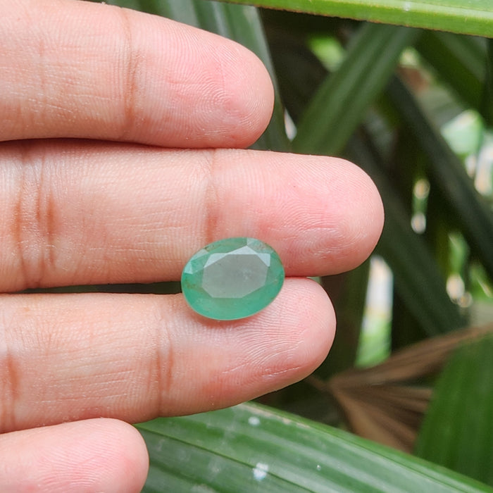 Emerald (Panna) Zambian Gemstone- 6.97 Carat