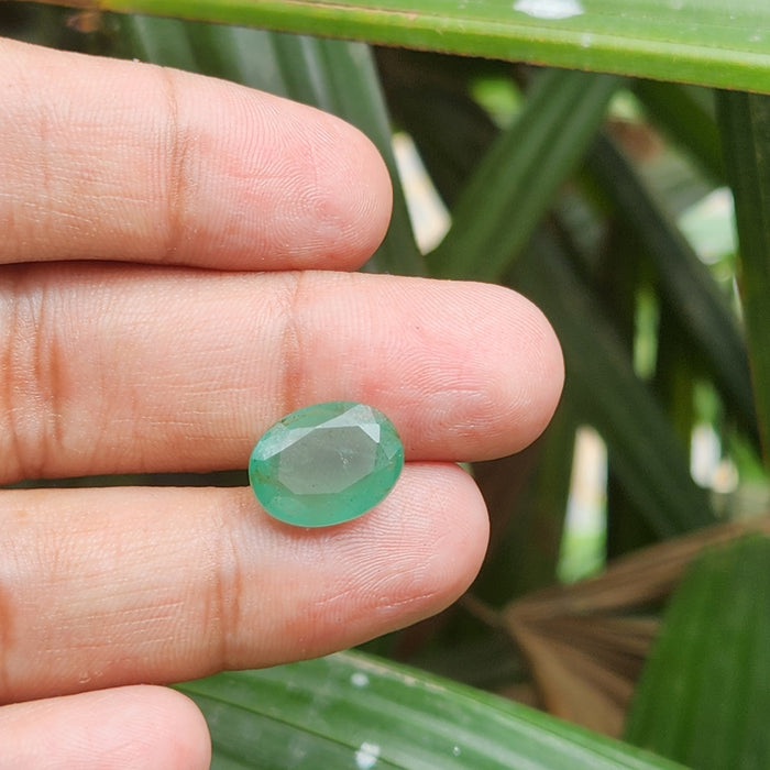 Emerald (Panna) Zambian Gemstone- 6.97 Carat