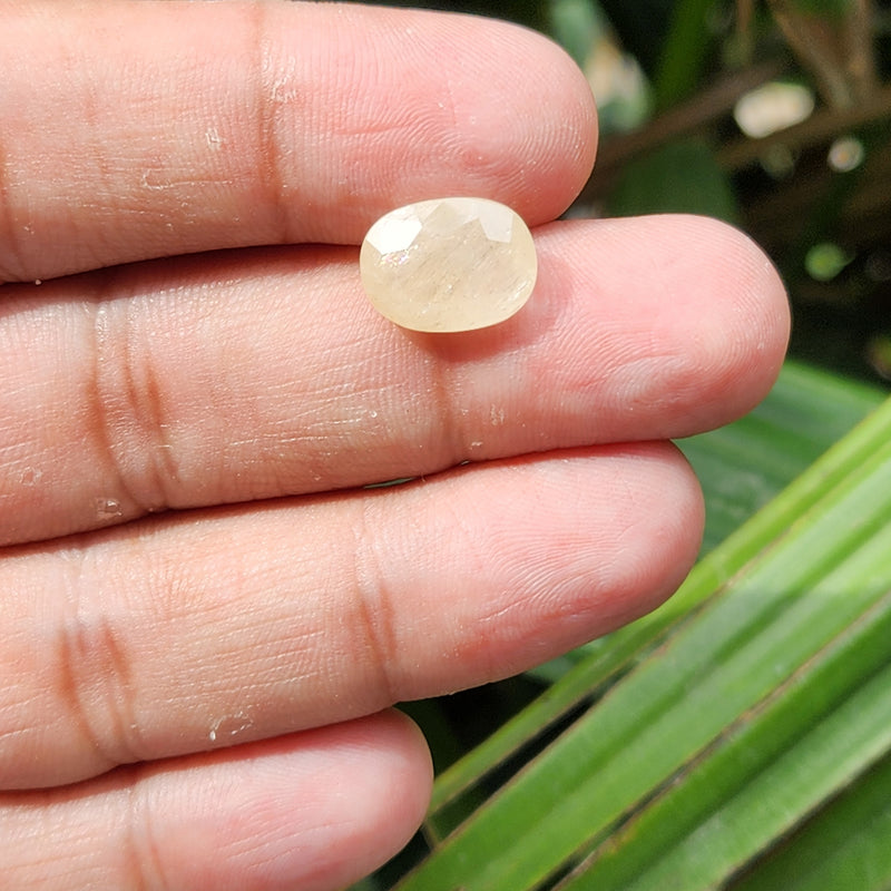 Yellow Sapphire Gemstone from Burma (Maynmar)- 7.78 Carats