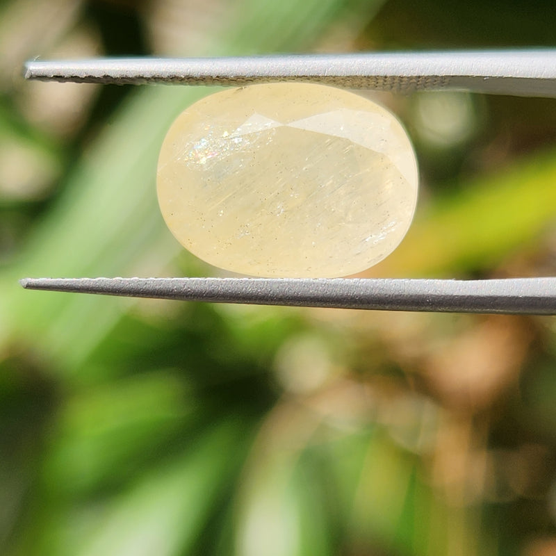 Yellow Sapphire Gemstone from Burma (Maynmar)- 7.78 Carats