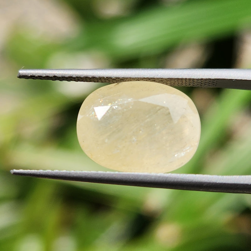 Yellow Sapphire Gemstone from Burma (Maynmar)- 7.78 Carats