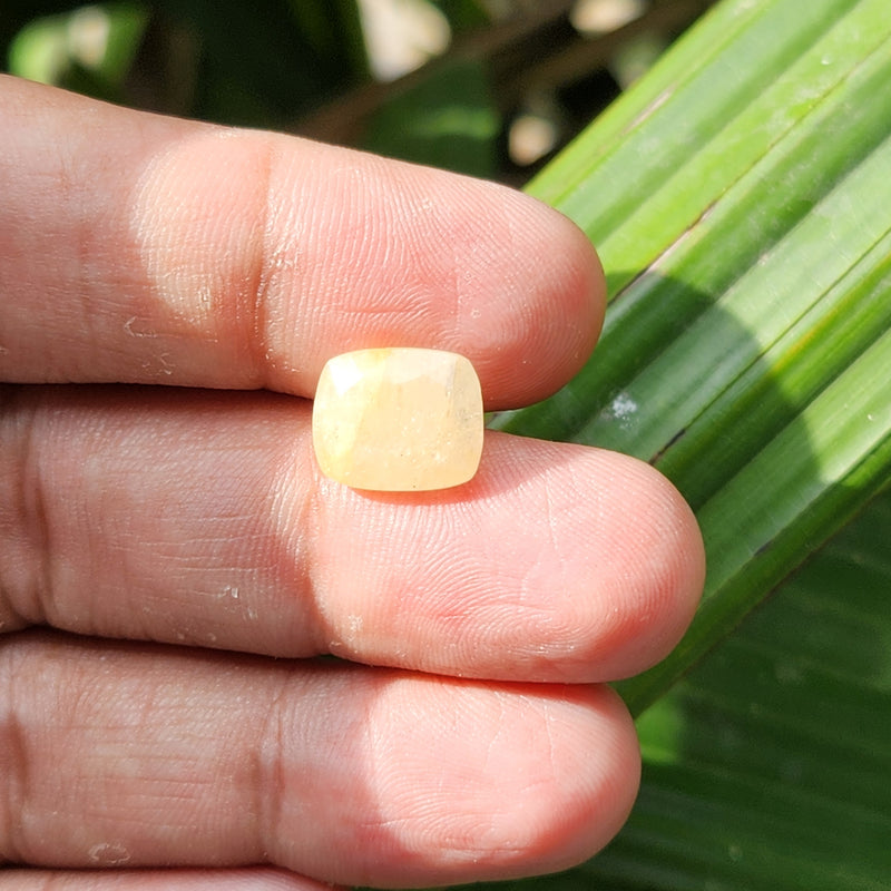 Yellow Sapphire Gemstone from Burma (Maynmar)- 7.17 Carats
