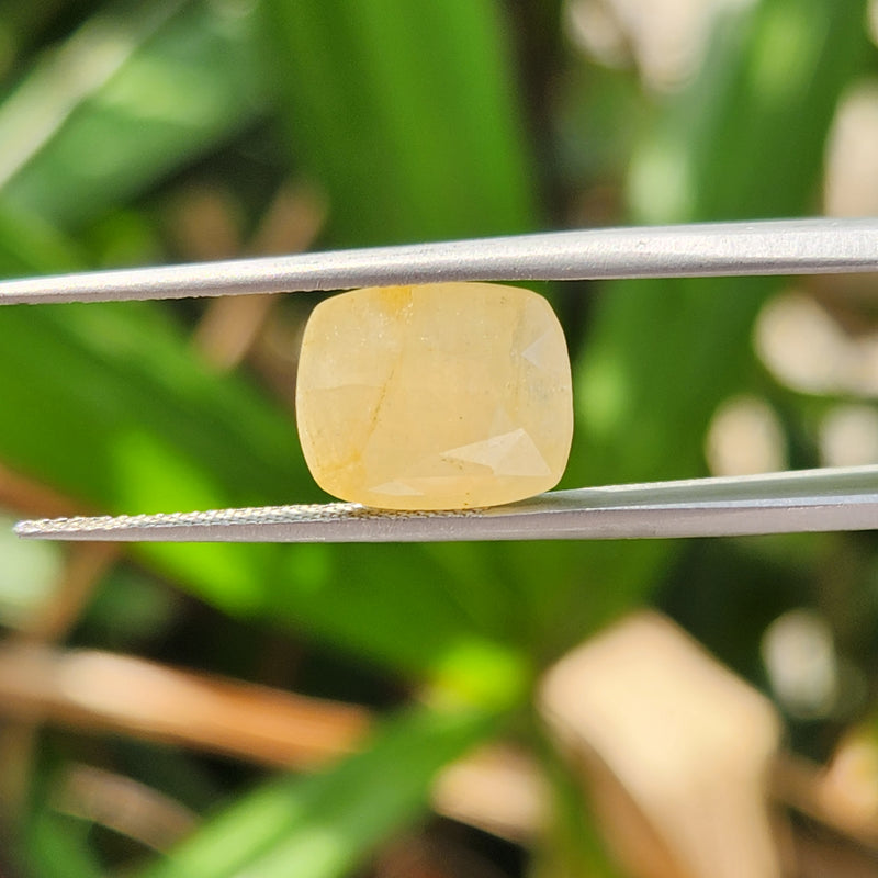 Yellow Sapphire Gemstone from Burma (Maynmar)- 7.17 Carats