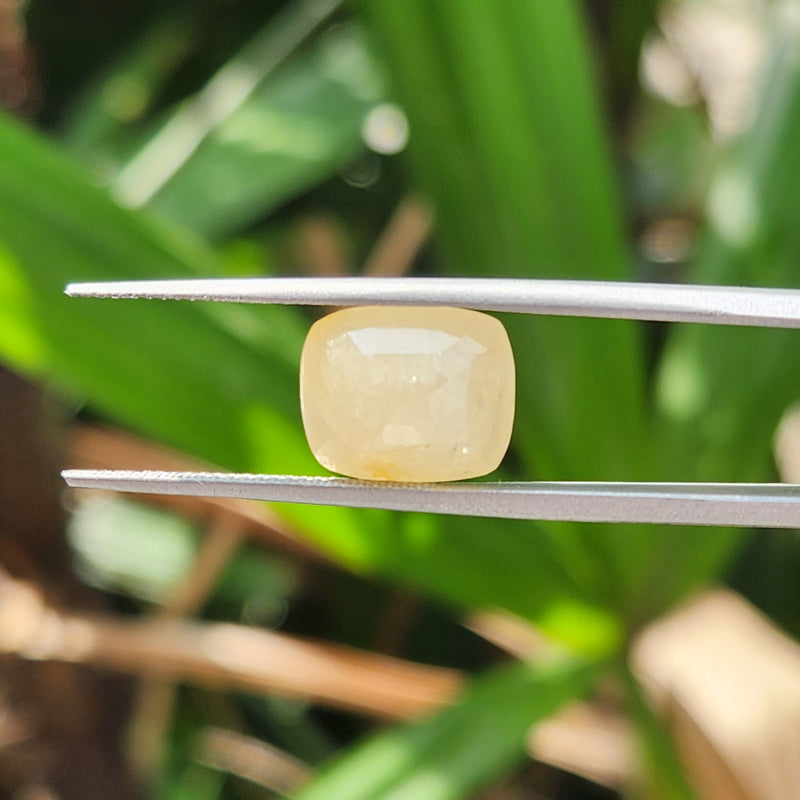 Yellow Sapphire Gemstone from Burma (Maynmar)- 7.17 Carats