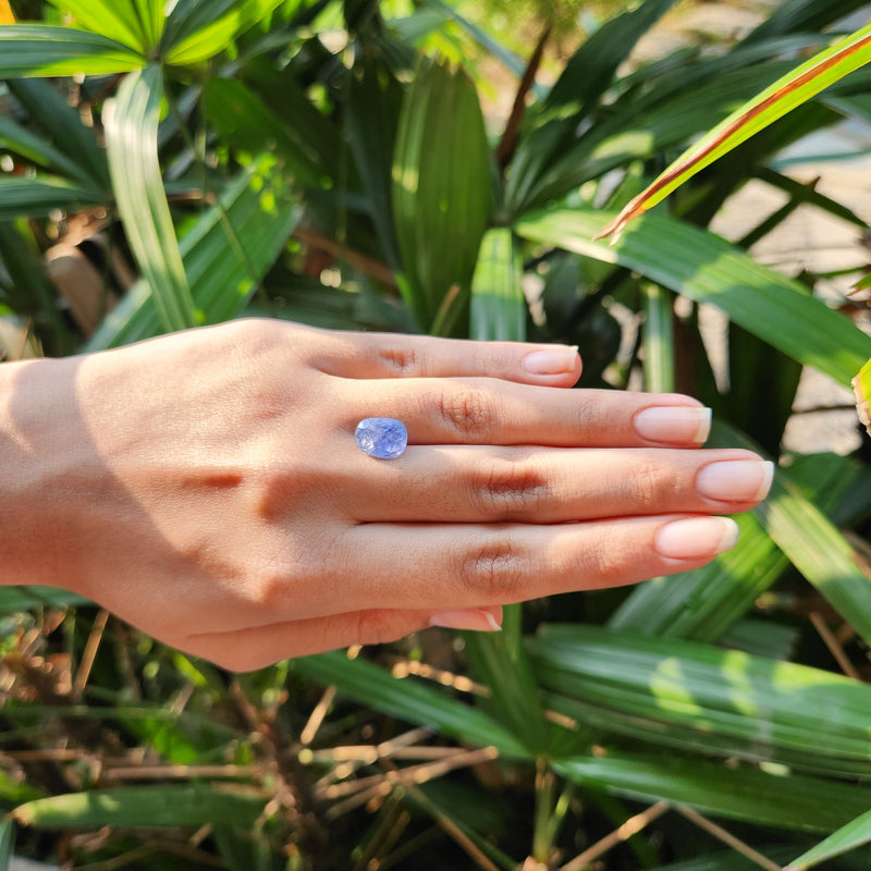 Blue Sapphire Gemstone from Burma (Maynmar)- 5.37 Carats