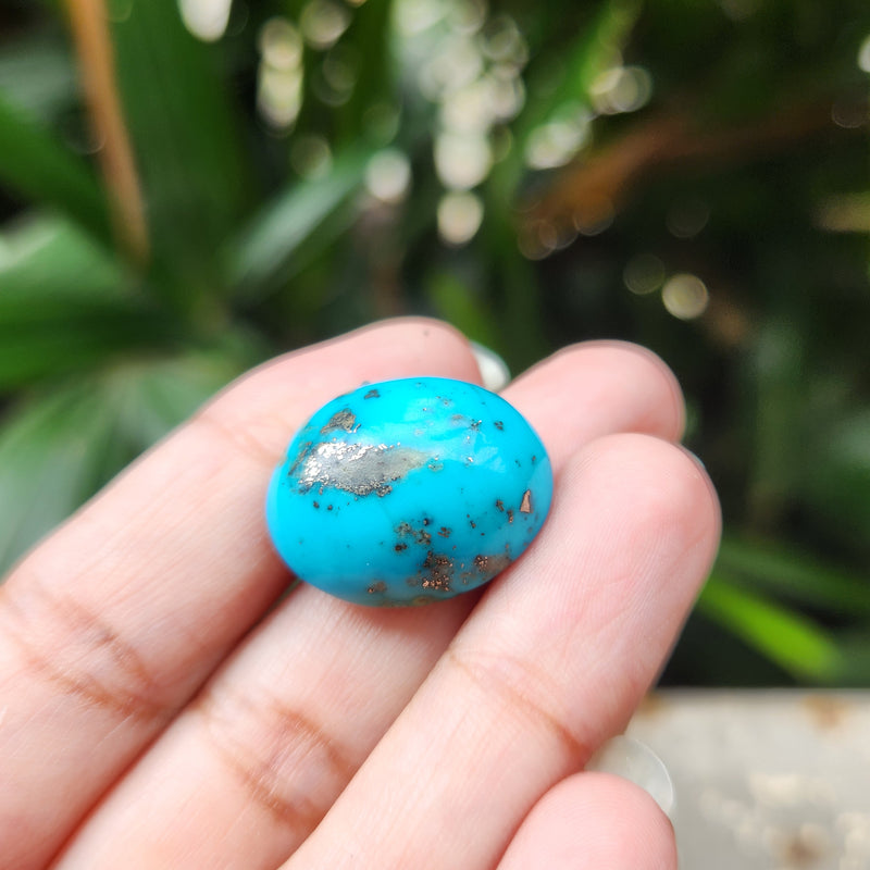 Irani Firoza Turquoise Stone- 22.21 Carat