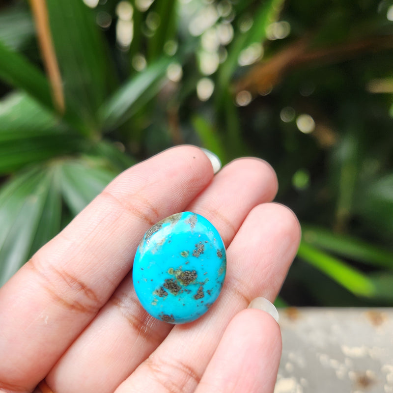 Irani Firoza Turquoise Stone- 22.21 Carat