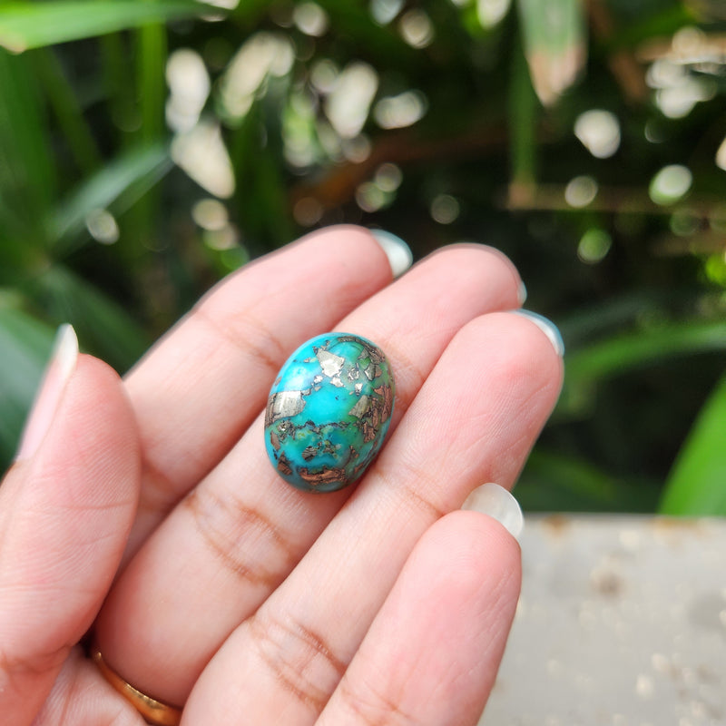 Irani Firoza Turquoise Stone- 12.53 Carat