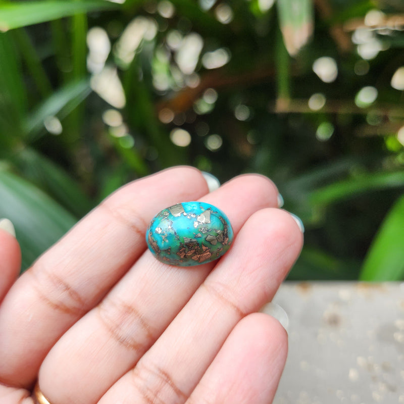 Irani Firoza Turquoise Stone- 12.53 Carat