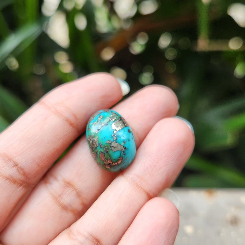 Irani Firoza Turquoise Stone- 12.53 Carat