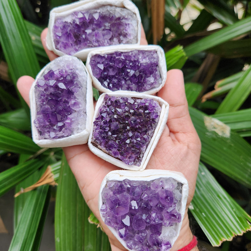 Amethyst Cluster from Uruguay