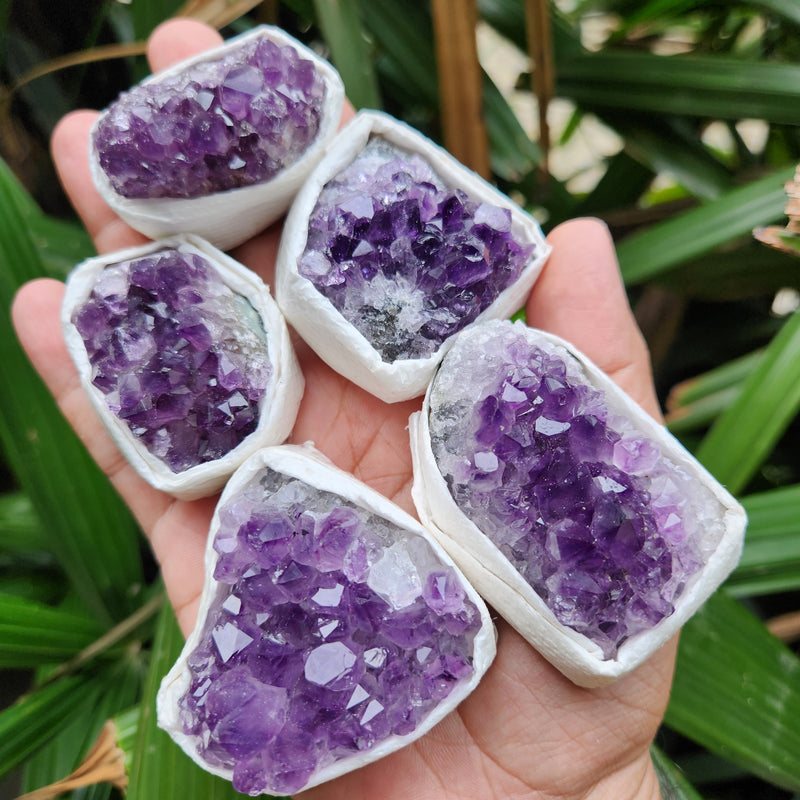 Amethyst Cluster from Uruguay