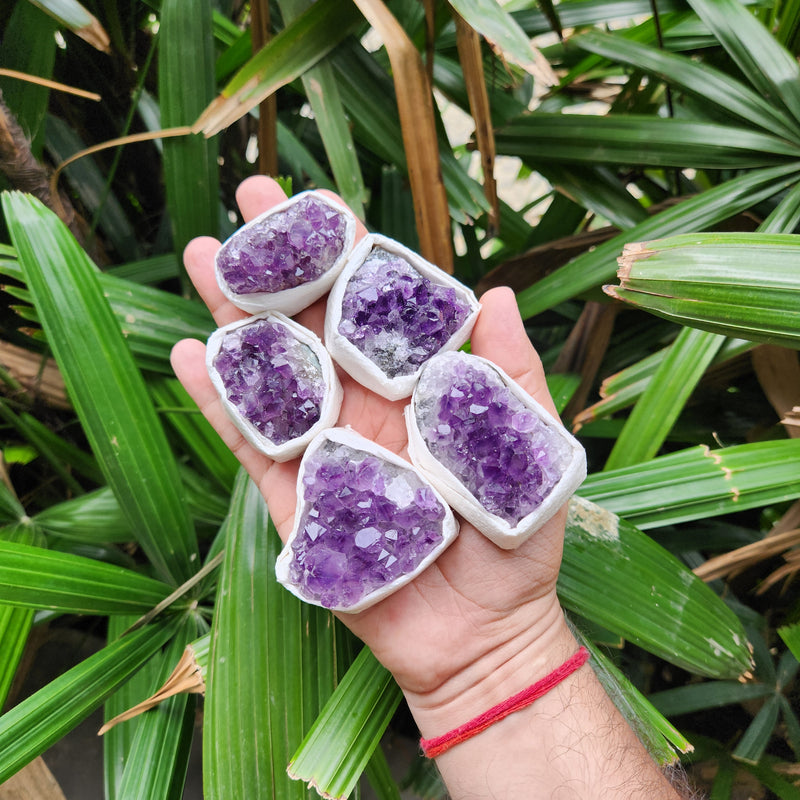 Amethyst Cluster from Uruguay