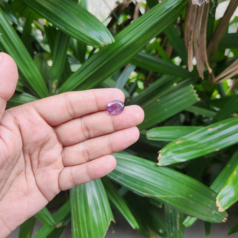 Certified Amethyst Gemstone from Brazil -7.15 Carats