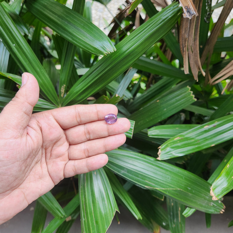 Certified Amethyst Gemstone from Brazil -7.15 Carats