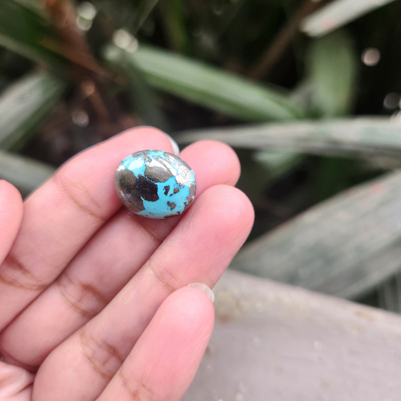 Irani Firoza Turquoise Stone- 13.14 Carat