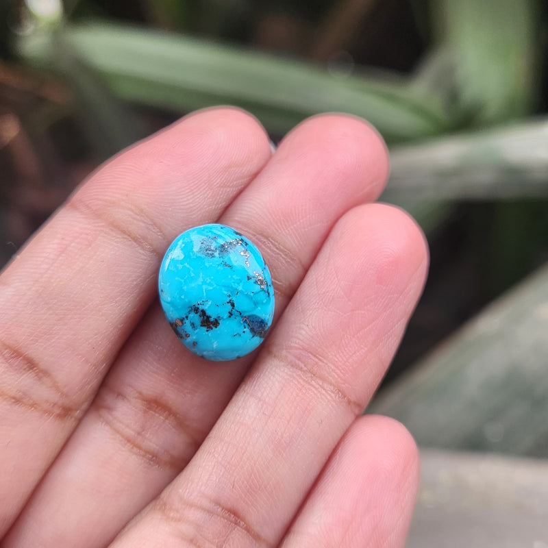 Irani Firoza Turquoise Stone- 8.73 Carat