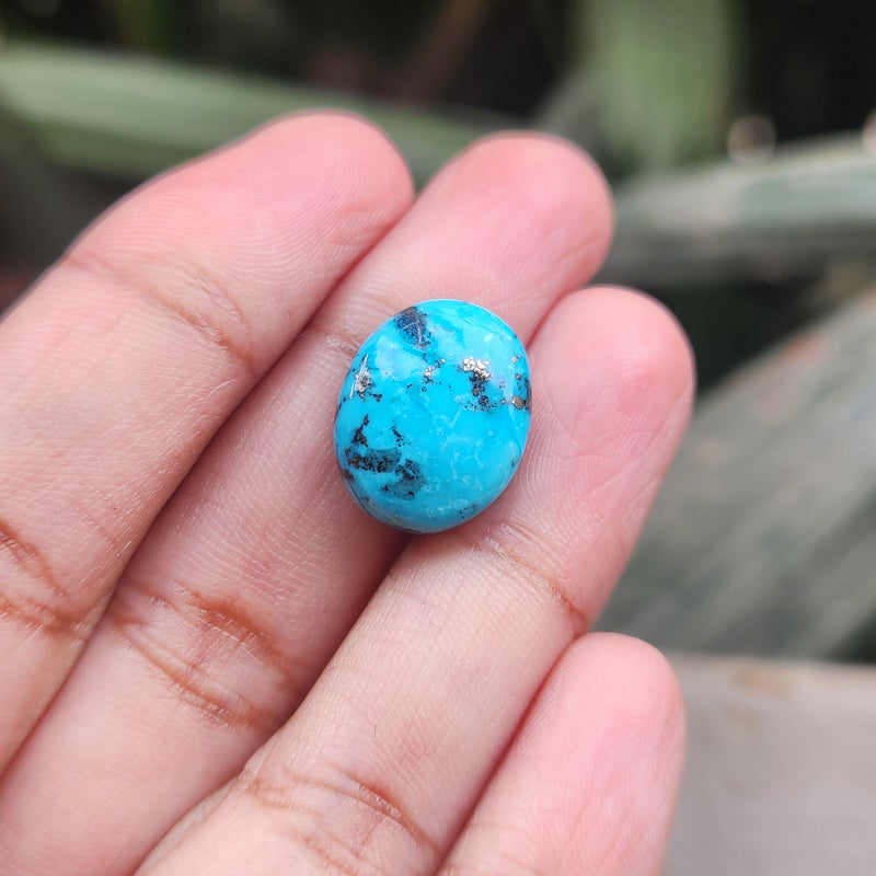 Irani Firoza Turquoise Stone- 8.73 Carat