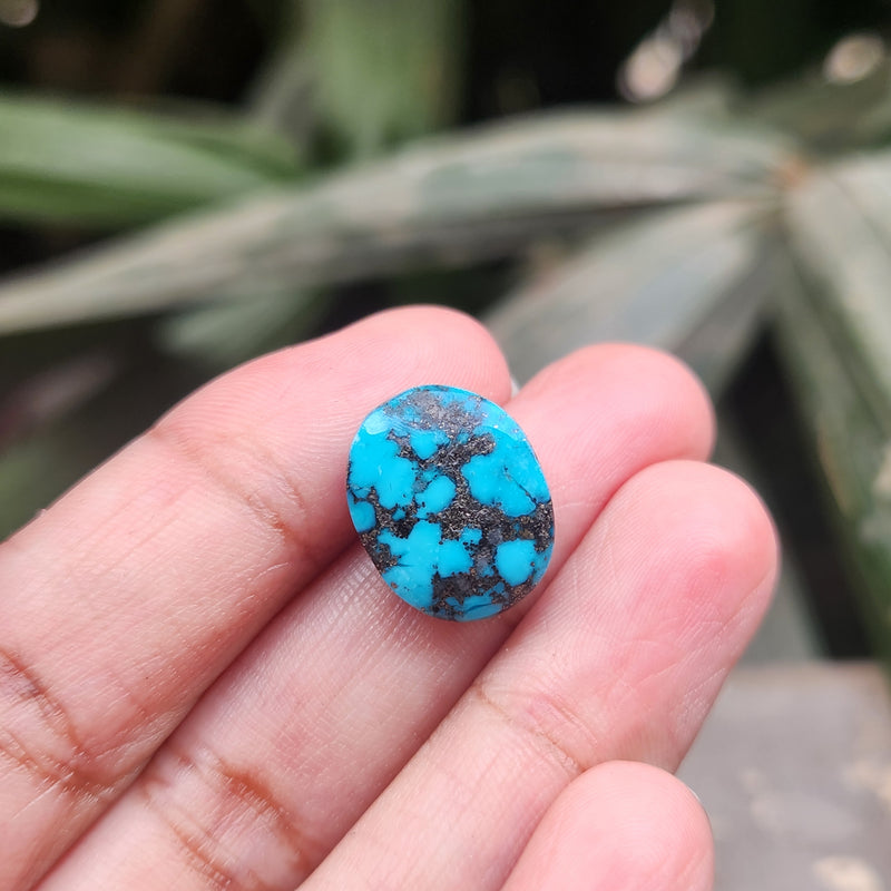 Irani Firoza Turquoise Stone- 8.73 Carat