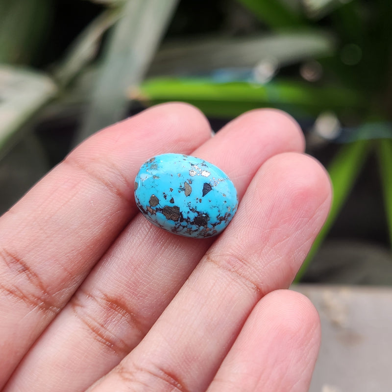 Irani Firoza Turquoise Stone- 8.89 Carat