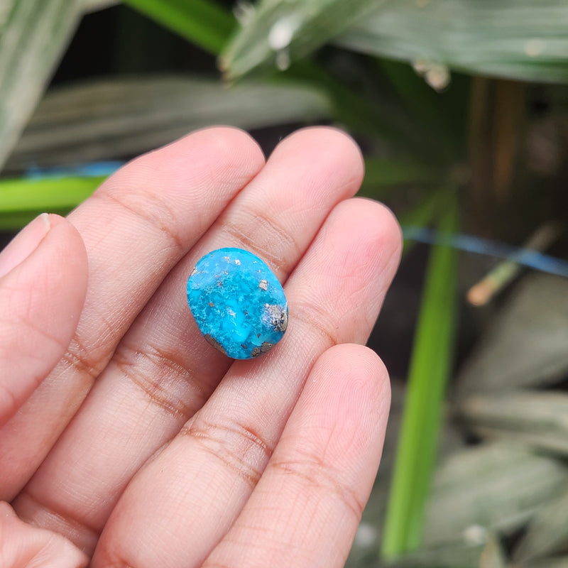 Irani Firoza Turquoise Stone- 9.29 Carat