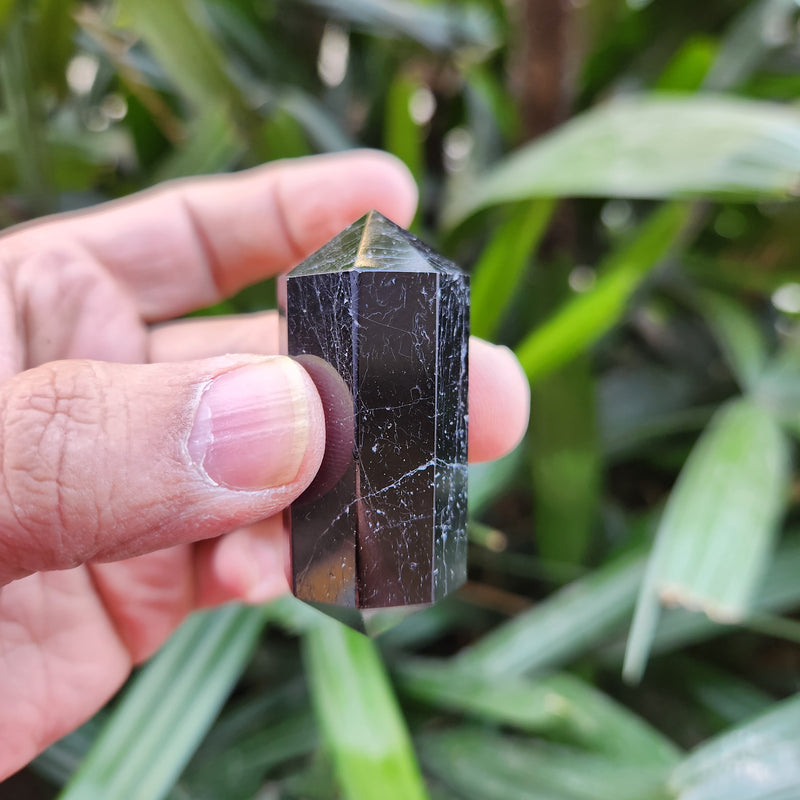 Black Tourmaline Double Sided Terminator